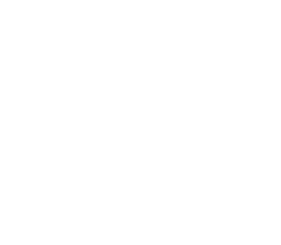 Hana Bien Etre logo